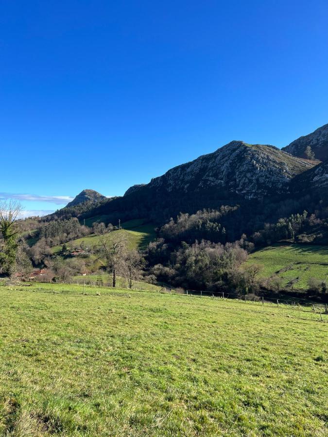La Vierta Casa Rural Agroturismo Ribadesella Exteriör bild