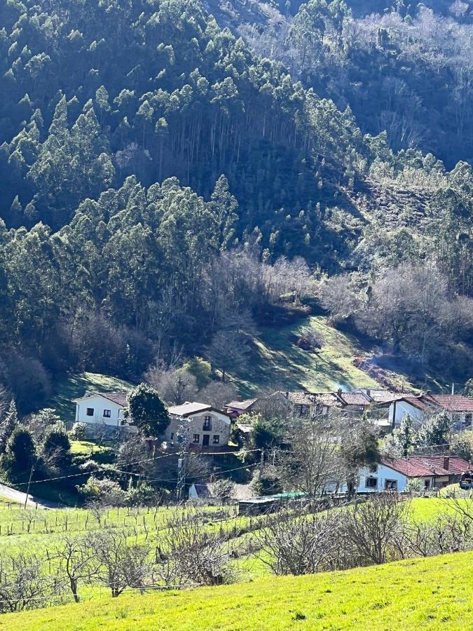 La Vierta Casa Rural Agroturismo Ribadesella Exteriör bild