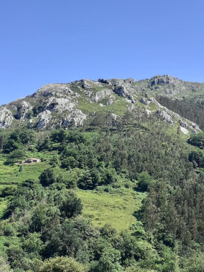 La Vierta Casa Rural Agroturismo Ribadesella Exteriör bild